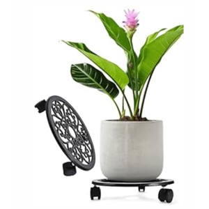 2WAYZ Plant Hanger Bracket for Outdoor - Heavy Duty Hanging Plant Hooks - Forged Wrought Iron Flower Pot Hangers - Black Hanging Hooks for Bird Feeders, Planters, Lanterns - Set of 4