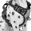 PoyPet No Pull Dog Harness, Reflective Comfortable Vest Harness with Front & Back 2 Leash Attachments and Easy Control Handle Adjustable Soft Padded Pet Vest for Dogs (Gray,XL)