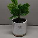 Fake Leaves Plant Pot