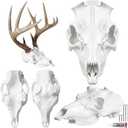 SiliFine Antler Mounting Kit European Mount Skull Hanger Deer Skull Mount Kit White 3D Modeled Replica Antler Compatible with Harvested and Shed Antlers Wall for Home Winter Decoration Gifts (1 Pack)