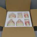 6 Pcs Pink Bow Vase Valentine Tiny Ceramic Bud Vase for Girl Home Decor Coquette Small Flower Vases Centerpieces Shelf Table for Valentine Room Wedding Baby Shower Decor