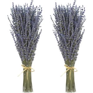 Dried Lavender 2 Bunches 100% Fresh Natural Purple Bouquet Flowers for Bathroom Photo Props Crafts Decoration, 15-17" for Shower Weeding Vase Decor, Home Fragrance(200-220 Stems(100g/3.5oz Total))