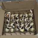 Creative Co-Op Embossed Mercury Glass Ball Ornament Garland, Distressed Matte Cream (72")