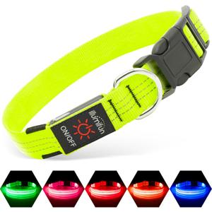 Illumifun LED Dog Collar, Rechargeable Light Up Collars, Reflective Safety Collar Light for Nighttime Walking Camping (Green, Medium)