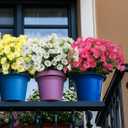 6 Bundles Artificial Morning Glory Fake Boxwood Shrubs UV Resistant No Fade Faux Greenery Plastic Petunia for Home Garden Hanging Planter Indoor Outdoor Porch Patio Wedding Decoration(White)