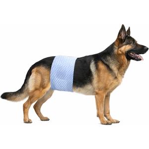 Disposable Male Dog Diaper Wraps for Waist 2331 in, Leakproof, Super Absorbent, Adjustable Fit, Wetness Indicator, XL, 22 Count
