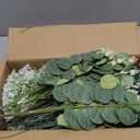 150 Pcs 7 Kinds Mixed Artificial Eucalyptus Leaves Stems Bulk, Fake Greenery Plants Faux Silver Dollar Eucalyptus Leaves for Wedding Vase Bouquet Floral Arrangement Centerpiece Home Decor