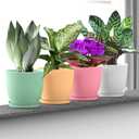 SwinDuck 6 Inch Plant Pots, 12 Pack Plastic Planters Modern Flower Pot with Drainage Holes and Saucers for All House Plants, Herbs, Flowers and Seeding Nursery, Colorful
