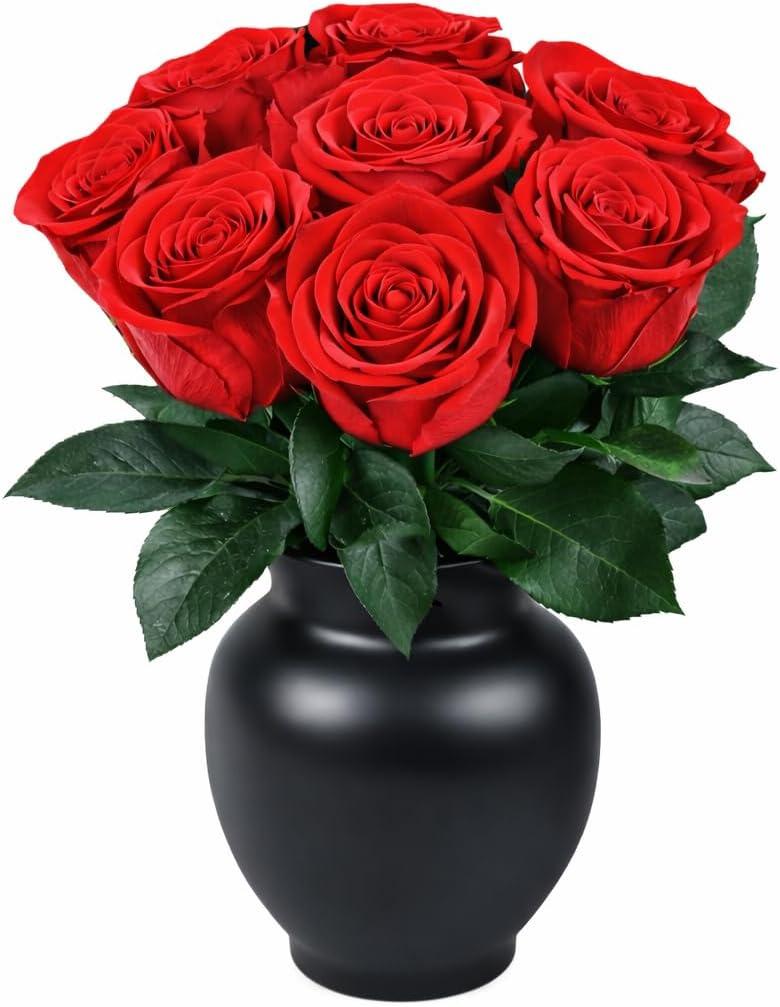 Eclore Floral Preserved Flowers Forever Roses and Forever Flowers in Vase, Real Preserved Roses, Eternal Flowers, Gift for Mom or Girlfriend - Gift for Birthday Flowers for Delivery