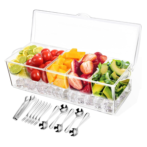 Condiment Tray with Stainless Steel 4 Spoons, 5 Forks and 1 Clip, Chilled Condiment Server, Condiment Server, Bar Garnish Holder on Ice, Bar Accessories Fruit and Salad with Removable Trays and Lid