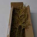15 Pcs Gold Glitter Artificial Cedar Sprigs Picks Faux Cedar Branches Stems Christmas Tree Picks Sprays 15.4" H for Gold Christmas Tree Wreath Wedding Bouquet Winter Seasonal Holiday Decoration