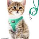 Fida Cat Harness and Leash Set for Walking Kitten and Puppy, Escape Proof Kitten Harness with Breathable Lightweight Soft Mesh, Adjustable Reflective Step-in Design. (XXXS, Green) (XXXS (Neck:10.2"-11.4"; Girth:11.4"-12.6"), Turquoise)