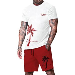 Men's 2 Pieces Outfit Short Sleeve Hawaiian Print Tee and Graphic Drawstring Waist Shorts Sets (White and Red) XXL
