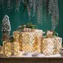 BALRAJ Set of 3 Christmas Lighted Gift Boxes Pre-lit Snowflakes Present Box with Bowknot Light Up Xmas Tree Skirt Ornament Tinsel Christmas Home Decor(B)