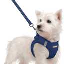 rabbitgoo Dog Harness Small Sized and Leash Set, Step in Soft Light Puppy Vest, Breathable Mesh Pet Harness, Reflective for Safe Outdoor Walking, Navy Blue S (S (Chest: 15.1 - 16.5"))