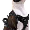 PUPTECK No Pull Dog Harness Small Sized, Adjustable Reflective Dog Harness with Handle Easy Control, Comfortable Soft Padded Pet Vest Harness for Small Dogs, Black S