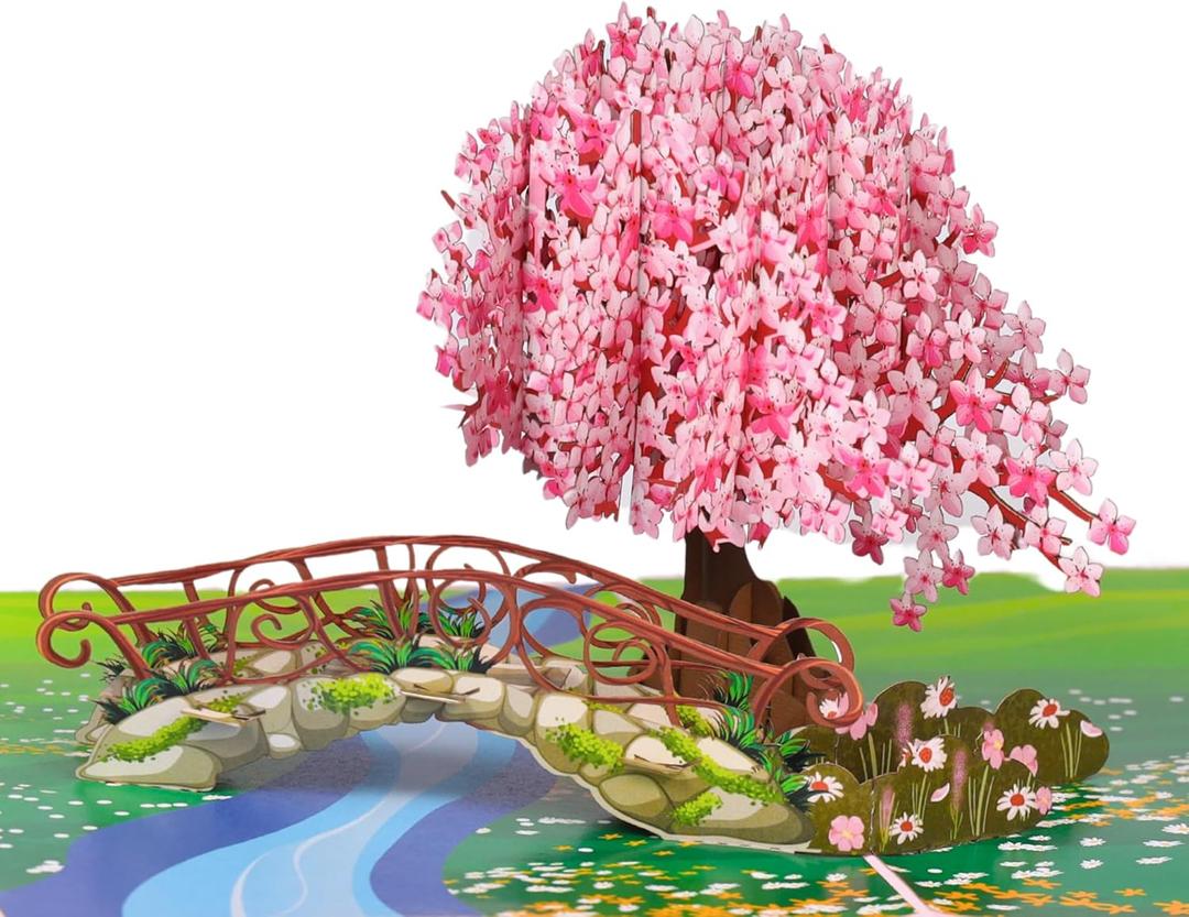 Cherry Blossom Pop Up Card, 3D Popup Flower Birthday Card 6x 8", Ideal Gift for Birthday, Mothers Day, Thank You, Anniversary, Valentines, All Occasion for Women, Wife, Mom, Sister, Grandma, Her