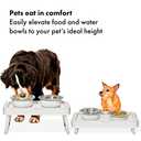 OXO Pet Adjustable Elevated Feeder