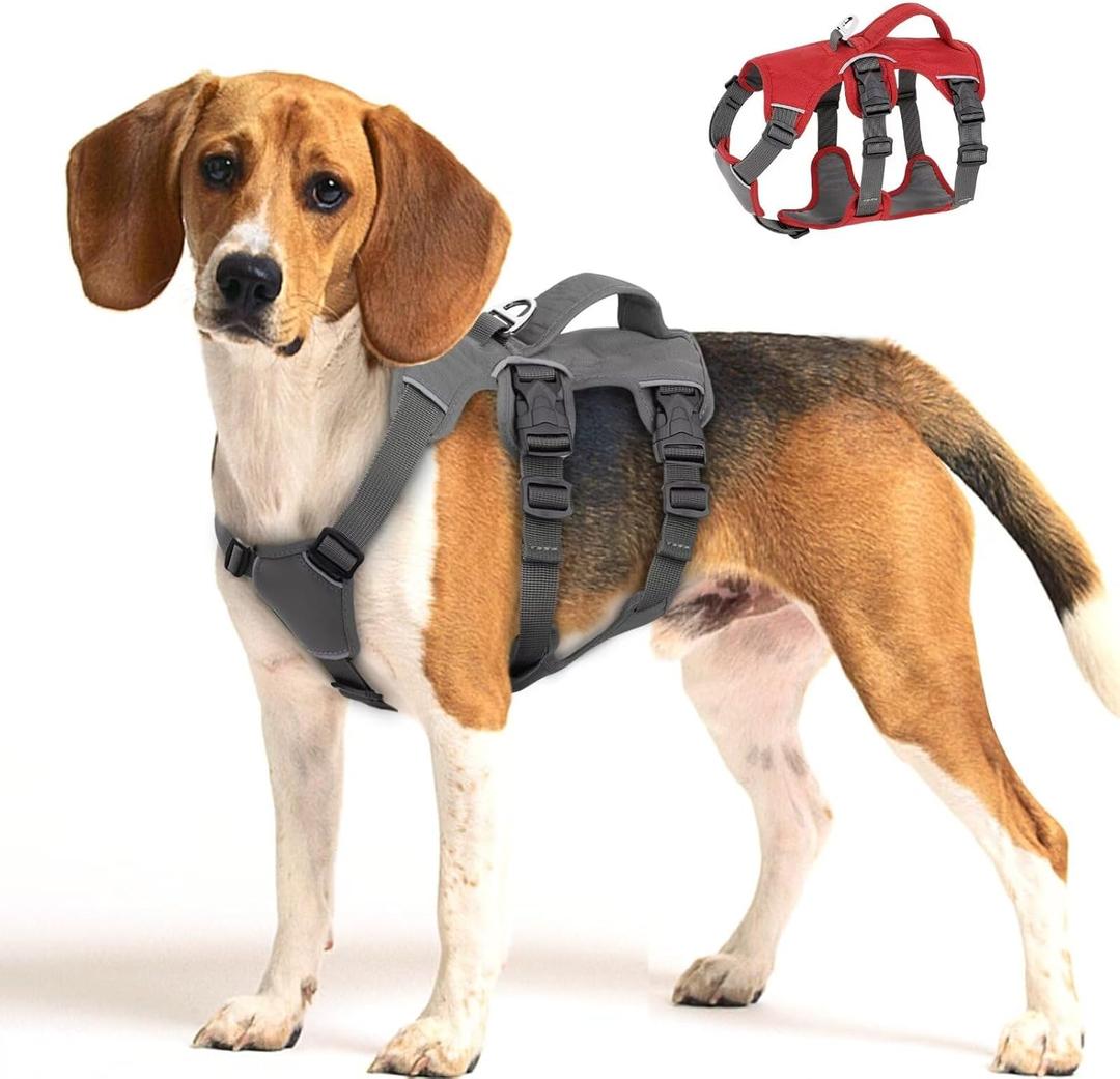 Beirui Escape Proof Dog Harness - Reflective No Pull with Padded Handle, Waterproof for Daily Walking & Training (Gray, Chest 13-27'')