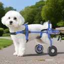 LetPetRun Dog Wheelchair for Back Legs, Adjustable Dog Carts with Wheels for Disabled Hind Legs, Bike Trailer Type Mobility Aid for Disabled Dogs to Regain Independence (S Blue)