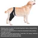 Dog Knee Brace with Adjustable Supportfor ACL & CCL Tears, Patellar Dislocations, Arthritis - Protects Joints for Return to Walking, Provides Extra Support, Reduces Pain and Inflammation, Medium