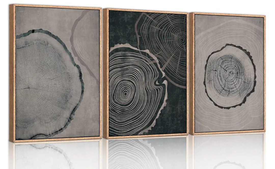 Ausril Tree Ring Framed Canvas Wall Art Set of 3, Modern Beige Wood Stump Wall Decor, Black and Gray Tree Spiral Wall Painting, Neutral Nature Art Print for Living Room, Bedroom, Office - 36"x24"