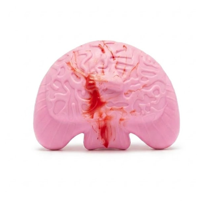 Brain-shaped rubber/silicone dog chew toy