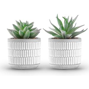Der Rose Set of 2 Succulents Plants Artificial Fake Cactus Plants for Living Room Bathroom Bedroom Aesthetic Home Shelf Decor, White