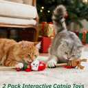 2 x Joytale 2 Pack Christmas Catnip Toys with Bell, Interactive Holiday Cat Wands Set, Catnip Toys for Indoor Cats Kittens for Chew and Relief, Snowman & Reindeer Design