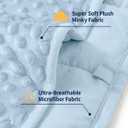 Mr. Sandman Weighted Blanket for Adults Queen Size 15 lbs, Soft Cooling Heavy Minky Blanket for Sleep, Washable Throw Blanket with Glass Beads, 60 x 80 Inches, Light Blue