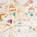 QEQEKAKA 20 PCS Starfish for Crafts 4"- 6" Natural Starfish Decor Bulk | Starfish for Wedding Beach Theme Decor Home DIY Crafts Decor Christmas Tree Starfish Ornaments