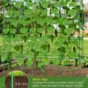 Cucumber Trellis for Climbing Plants Outdoor, A-Shape Garden Trellis for Raised Bed, Metal Plant Trellis with Garden Netting for Flower Vegetables, Pea, Grape ((67 * 17 * 65inch(L*W*H))