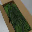 Consevisen Norfolk Pine Stems, 24 Inch Realistic Touch Artificial Pine Branches, 9-Branch Full Faux Christmas Greenery Picks for Vases Cedar Wreaths Garland Indoor Outdoor Christmas Decoration, 6Pcs