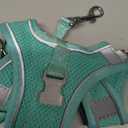Solmoony Small Dog Harness - No Pull, Step-in, Mesh - Puppy Set (Green, XS)