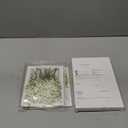 Tinideya 100 Pcs Dried Babys Breath Flowers Bulk Babys Breath Real Pressed Flowers Natural Gypsophila for Resin Wedding Art Craft Baby Shower DIY Invitations Scrap Booking Card Making(Ivory White)