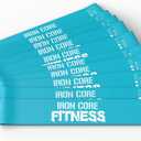 Latex Mini Resistance Bands Sets for Trainers, Bootcamp, Gym for Men and Women in Fun Colors - Ebook, Videos and Workout Chart Included by Iron Core Fitness (#3 Aqua Turquoise, 10 x Medium)