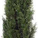 Nearly Natural 4FT Faux Cedar Tree, Outdoor Front Porch Dcor, Faux Cedar Tree Pine Tree in Nursery Planter with UV Resistant Coating, Pack of 2