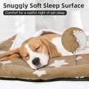 Mora Pets Cat Bed for Indoor Cats Washable Dog Crate Pad Cute Star Dog Bed Mat for Small Dogs Pet Kennel Pad for Cage Soft Flat Puppy Kitten Cushion for Sleeping Anti-Slip Brown 22 x 13