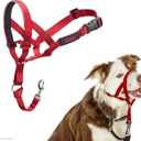 Halti Headcollar - Stop Your Dog Pulling on The Leash. Adjustable, Reflective and Lightweight, with Padded Nose Band. Dog Training Anti-Pull Collar for Medium Dogs (Size 2, Red)