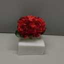 Hollyone Hydrangea Artificial Flowers in Vase Red Silk Fall Fake Flowers Arrangements with Glass Vase with Faux Water Faux Floral Bulk Bouquet for Office Table Centerpiece Shelf Home Decorations