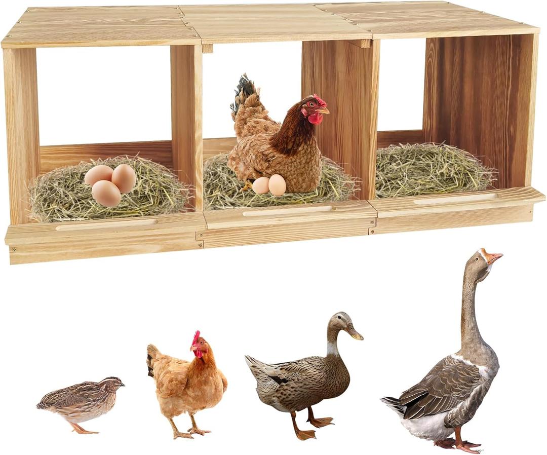 Nesting Boxes for Chickens 3 Compartments Chicken Nesting Boxes Wall Mount Nest Box for Chicken Coop Versatile Use Wood Nesting Boxes for Hens Easy to Assemble for Chickens, Hens, Ducks