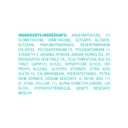 Moroccanoil Smoothing Lotion