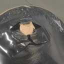 WhiteFang Skateboards for Beginners, Complete Skateboard 31 x 7.88, 7 Layer Canadian Maple Double Kick Concave Standard and Tricks Skateboards for Kids and Beginners (Check)