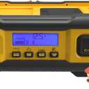 DEWALT DXAEC100 Professional 30-Amp Battery Charger and 3-Amp Maintainer with 100-Amp Engine Start