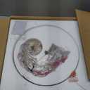 KCO Lighting Mid Century Modern Dome Pendant Light Large Farmhouse Island Lighting Gold Barn Pendant Lights Brass Kitchen Hanging Lights