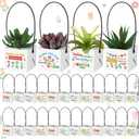 Dansydaisy 32 Pcs End of Year Teacher Appreciation Gift Succulents Wraps Bags Thank You for Helping Me Grow Graduation Gift for Teacher Succulents Pots with Handle Paper Plants Baskets Decorations