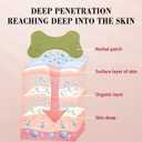 1Pcs/Box Mugwort Patches -Wormwood Stickers Natural Herbal Patches for Arm Natural Herbal Arm Patch for Women and Men