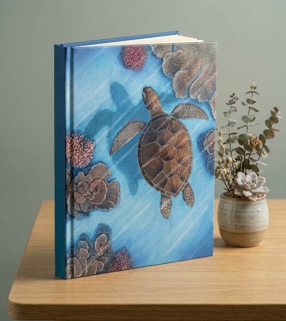 The Secret Life of a Sea Turtle, Hardcover