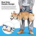Dog Lift Harness, Dog Lift Sling Carrier with Handle & Shoulder Sling, Support Harness for Rear Back Legs Helps,Disabled,Arthritis,Joint Injuries,Paralysis Up StairsBlue,Large