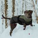 IECOii Extra Warm Reflective Dog Jacket Winter Coat with Buckle - Fleece Turtleneck for Dogs in Cold Weather, XL